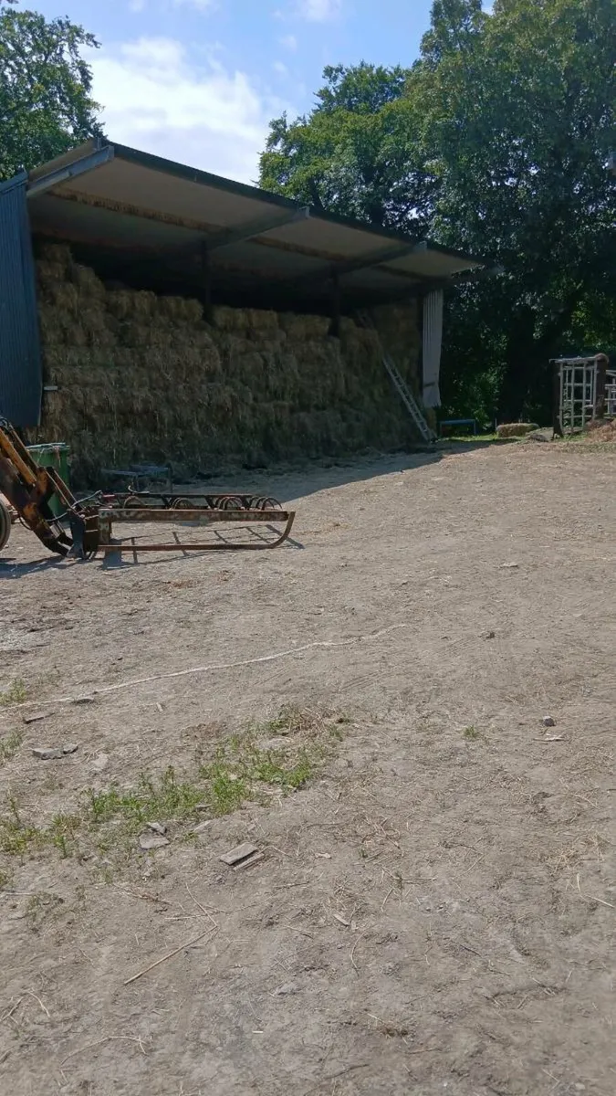 Small square bales of hay - Image 2
