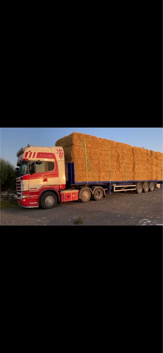 Barley straw - Image 2