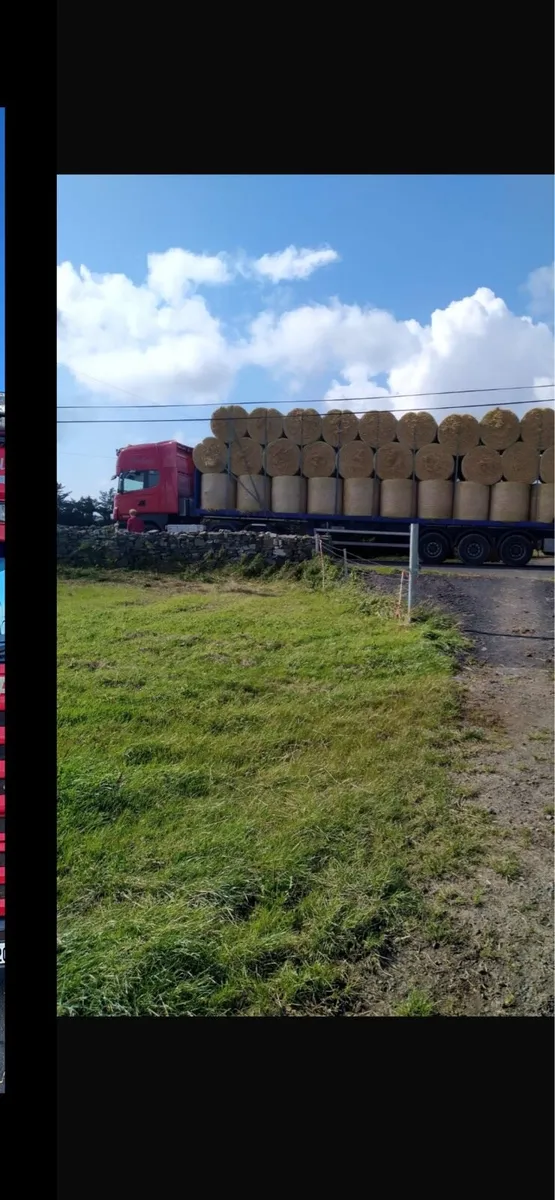 Barley straw - Image 1