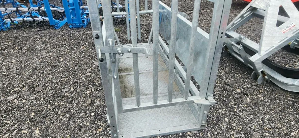 Nugent cattle crush - Image 3