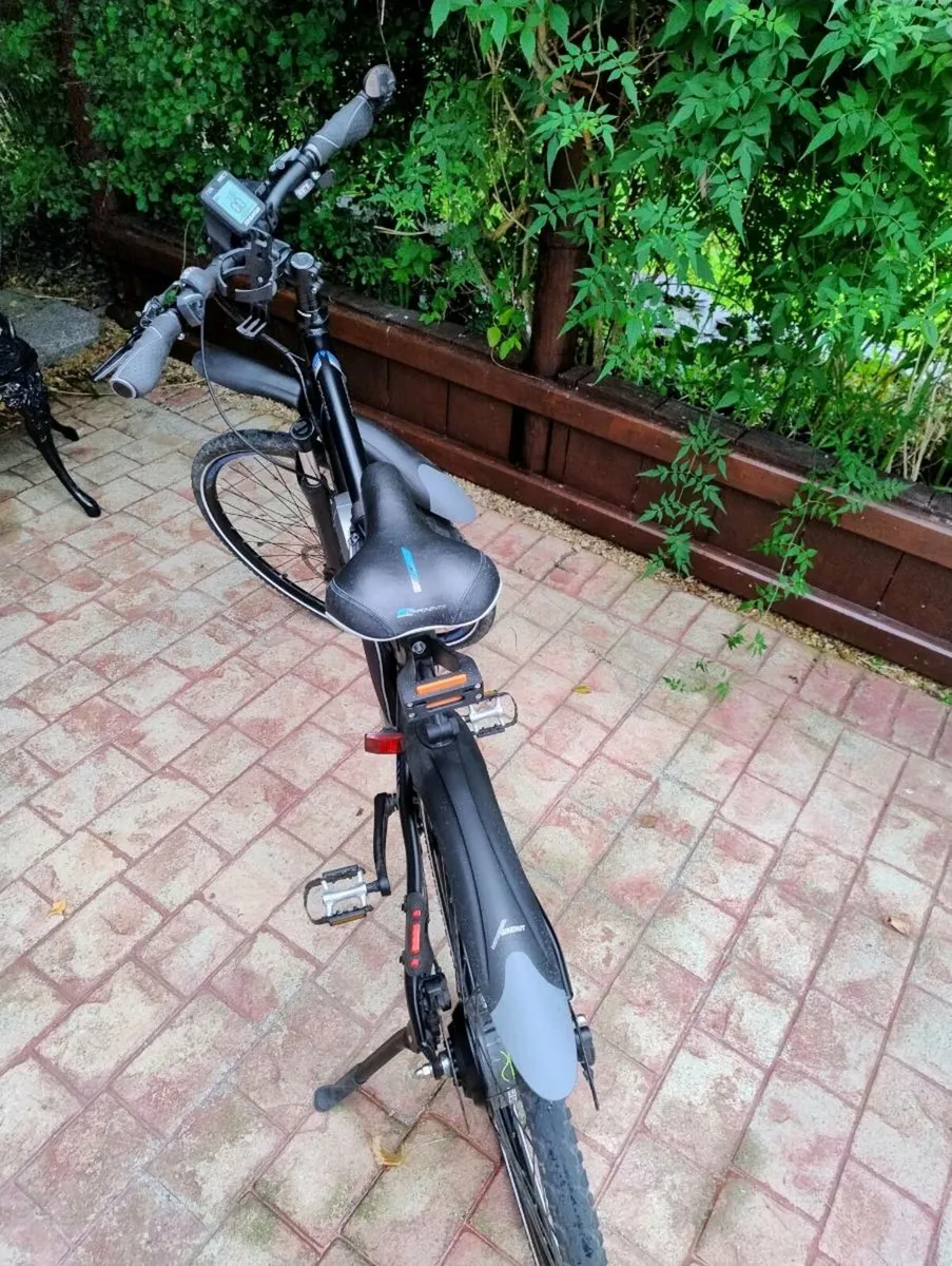 Electric Mountain Bike - Image 2