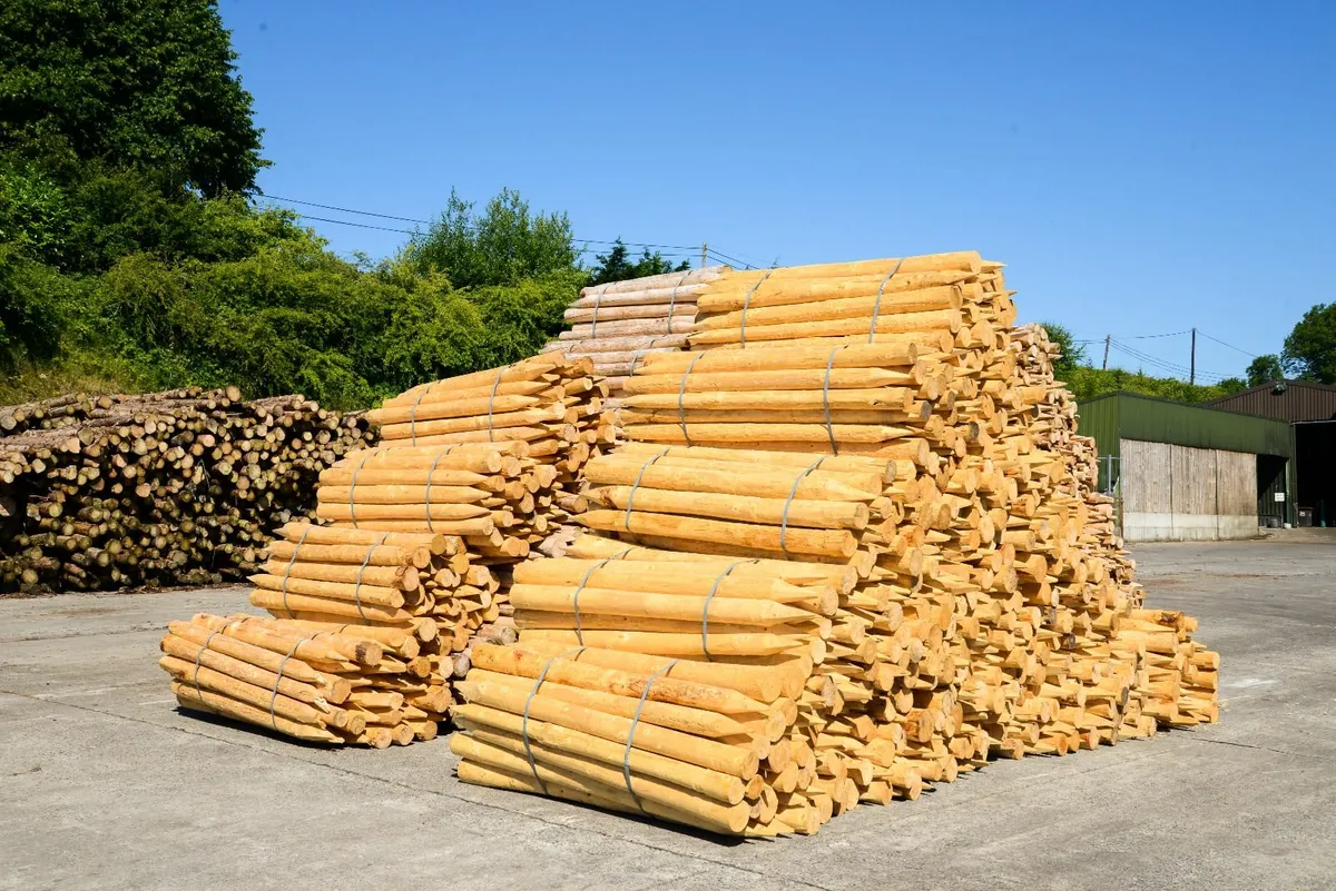 Farm Fencing Posts - Direct to your Farm - Image 2