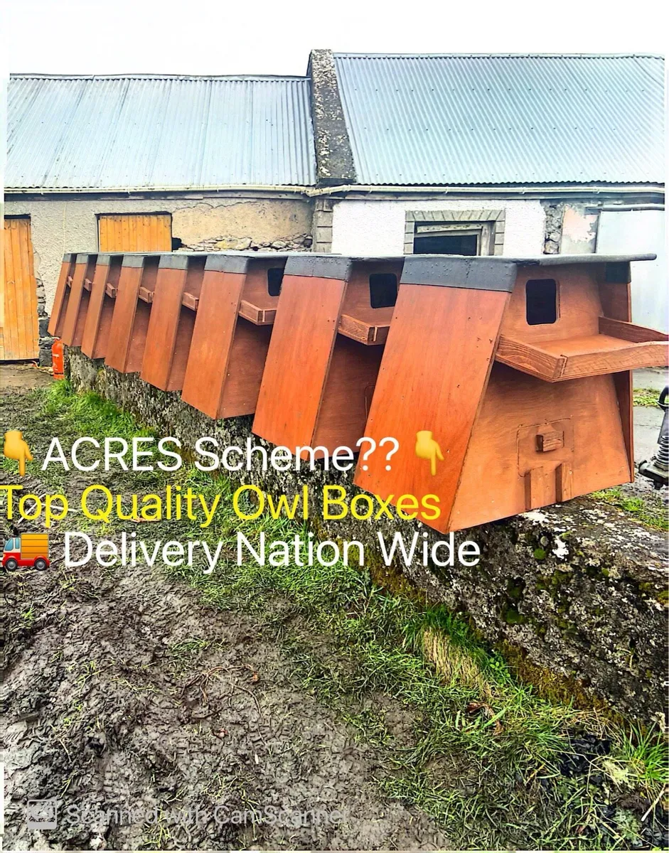 Owl and Bat boxes-ACRES - Image 1