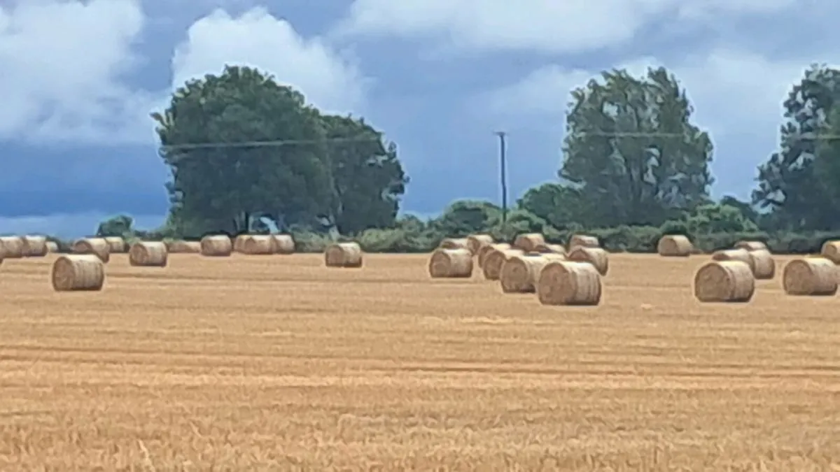 Straw and hay - Image 1