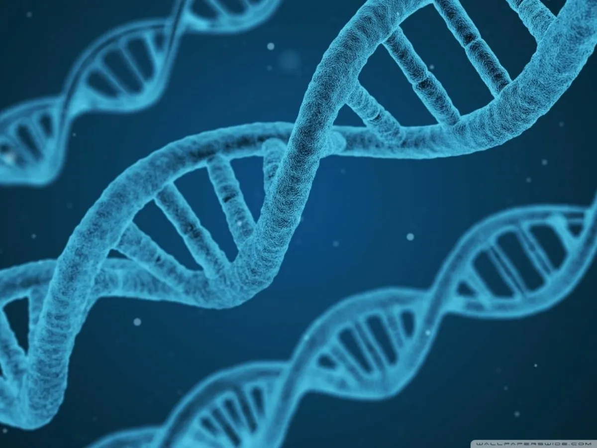 Online Leaving Cert Biology & Chemistry Grinds - Image 1