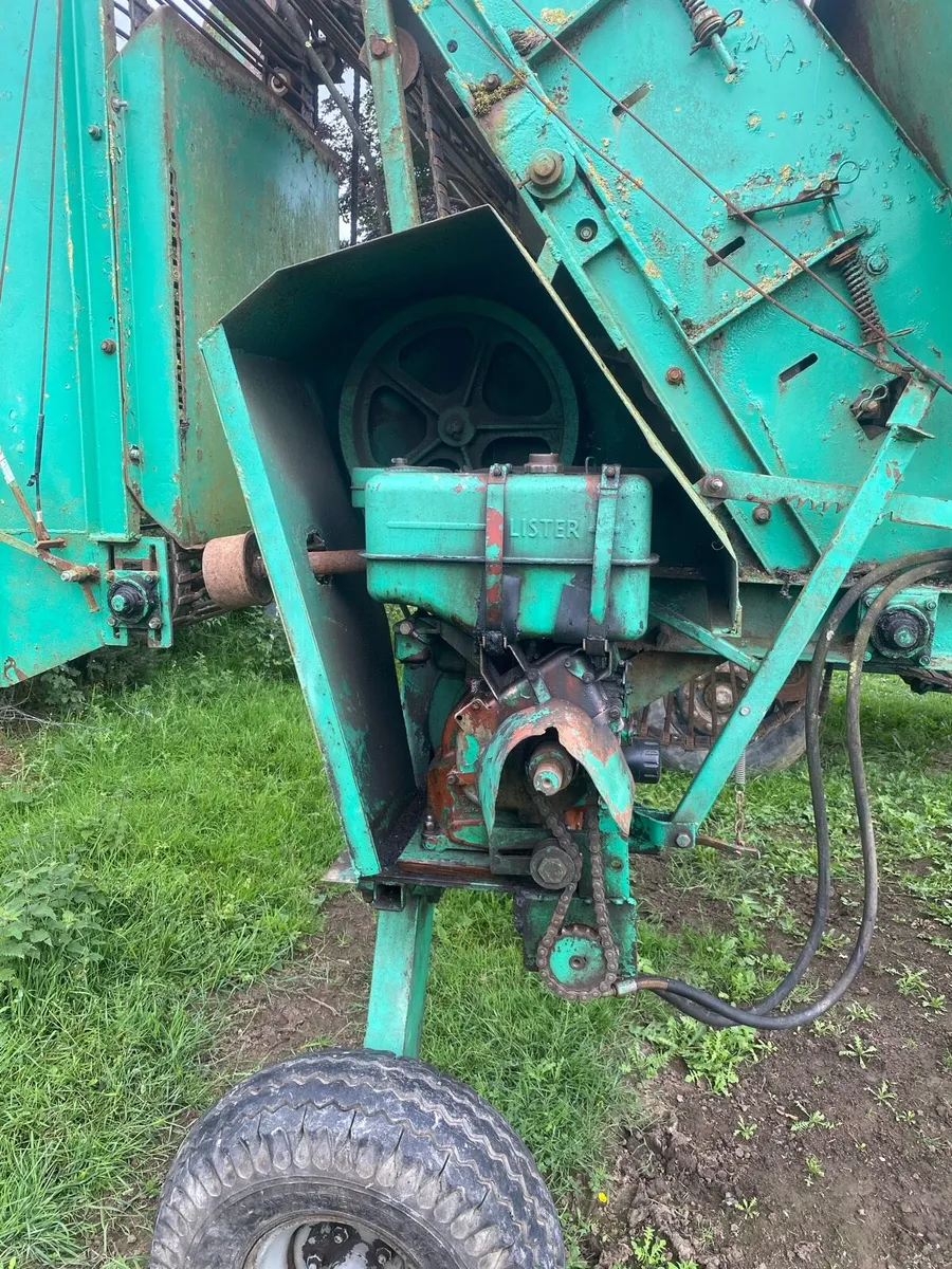 Beet cleaner - Image 4