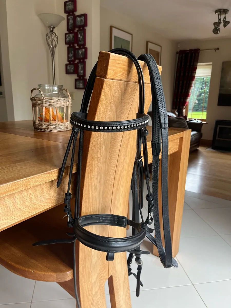 Horse riding gear - Image 2