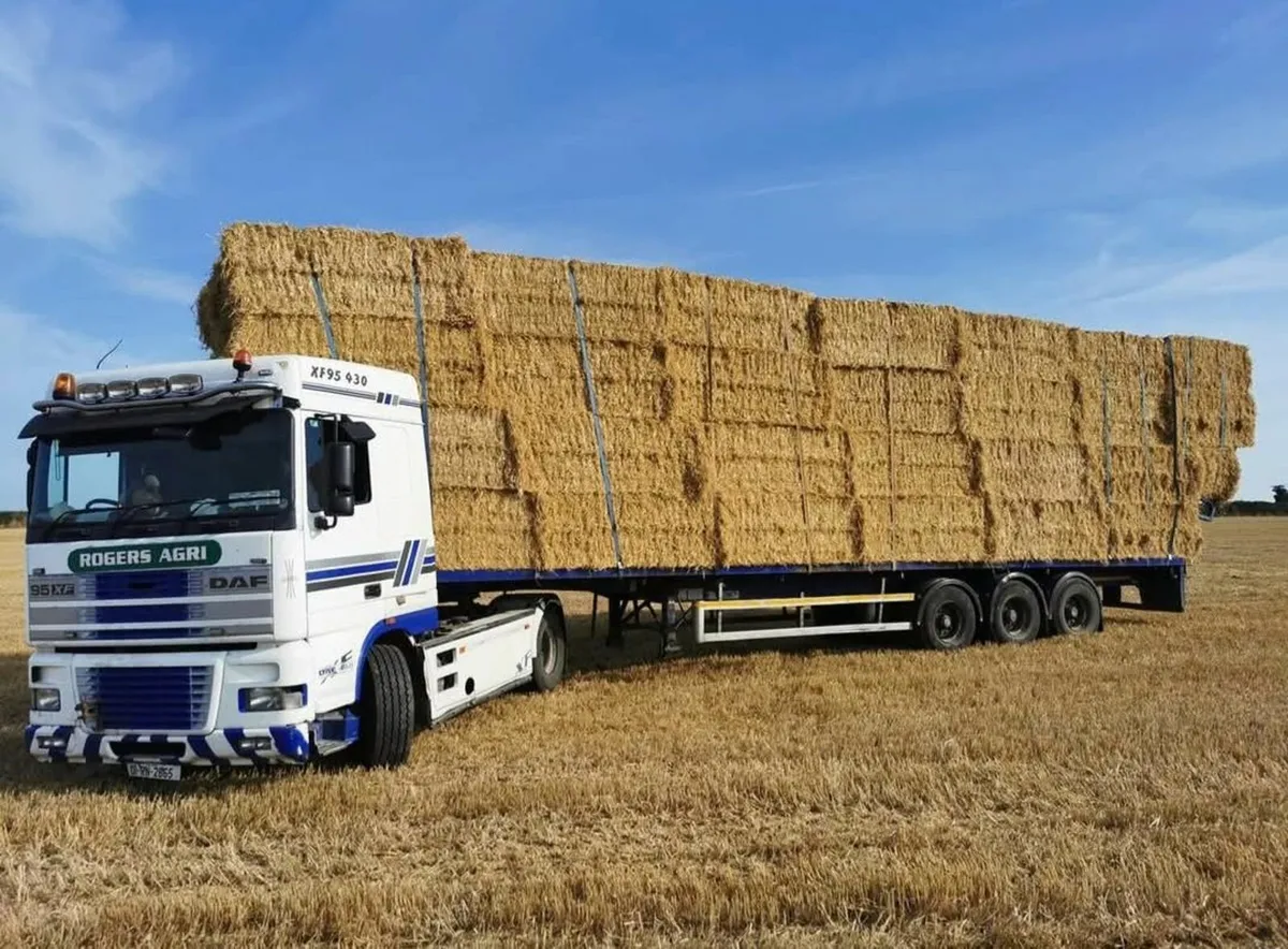 For sale 8x4x3s and 4x4s  barley straw - Image 1