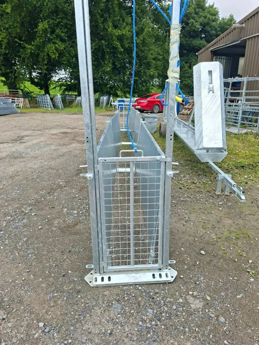 24 foot sheep race new - Image 2