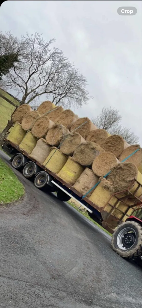 Bale trailer - Image 1