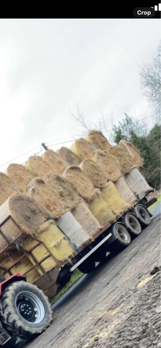 Bale trailer - Image 2