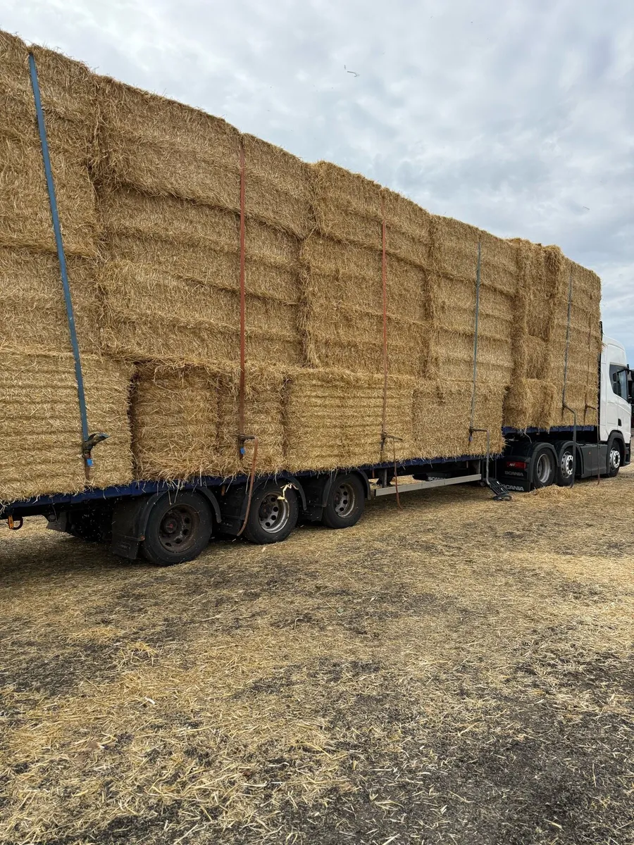 Chopped English barley straw available - Image 1