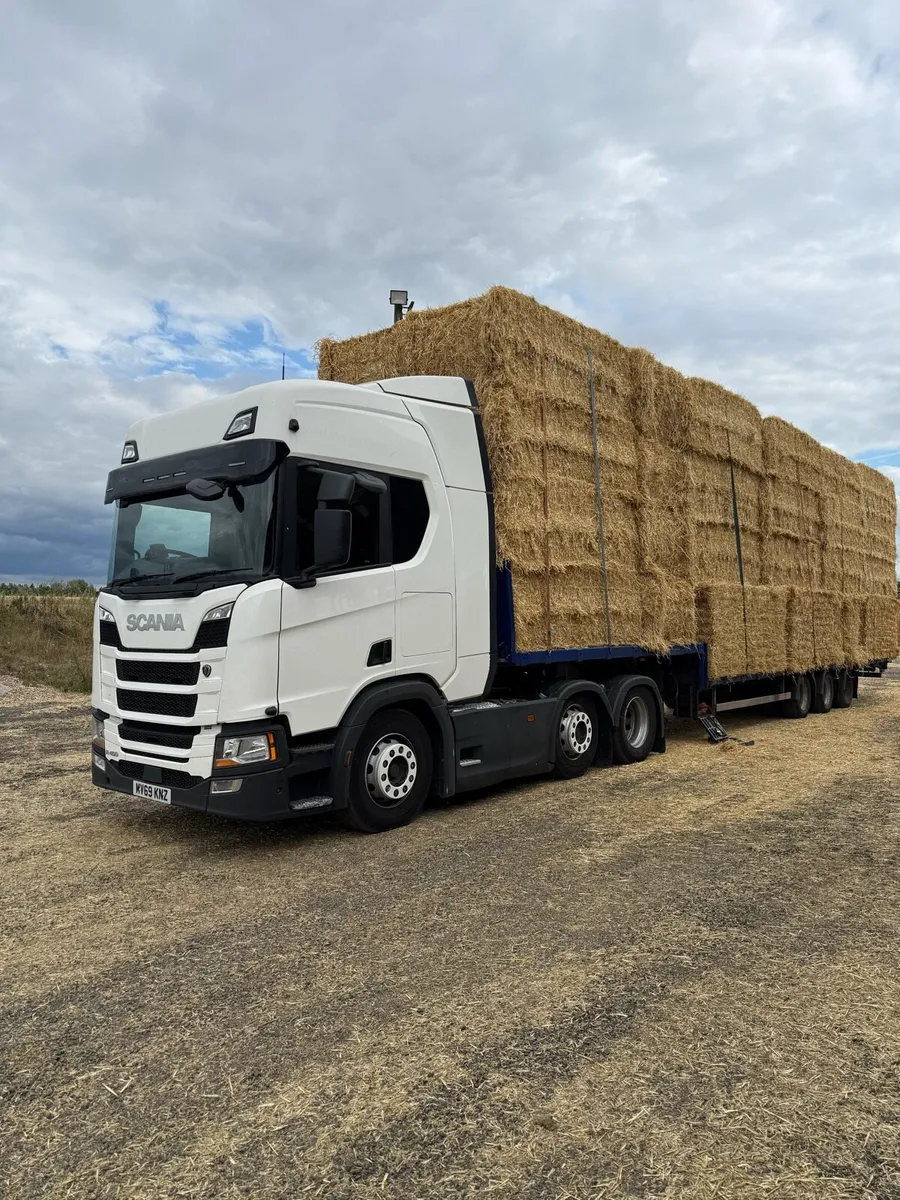 8x4x3s of Irish barley straw - Image 1
