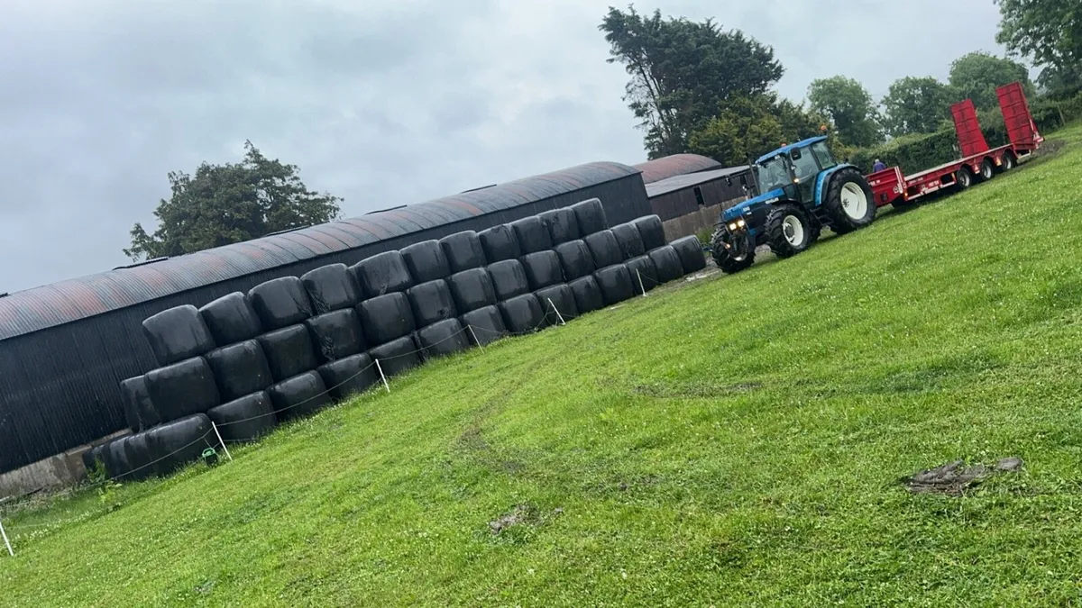 Round Bale Silage - Image 2