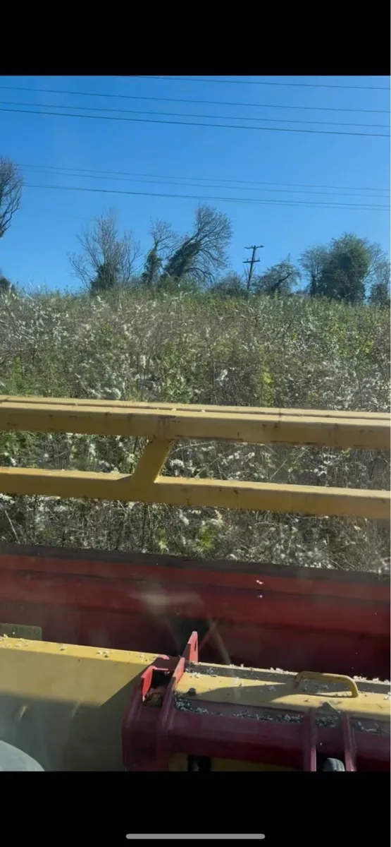 Site clearance mulching whins/scrub - Image 4