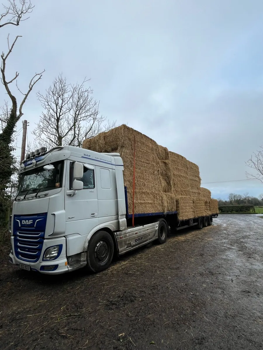 Barley and Wheat straw. - Image 4