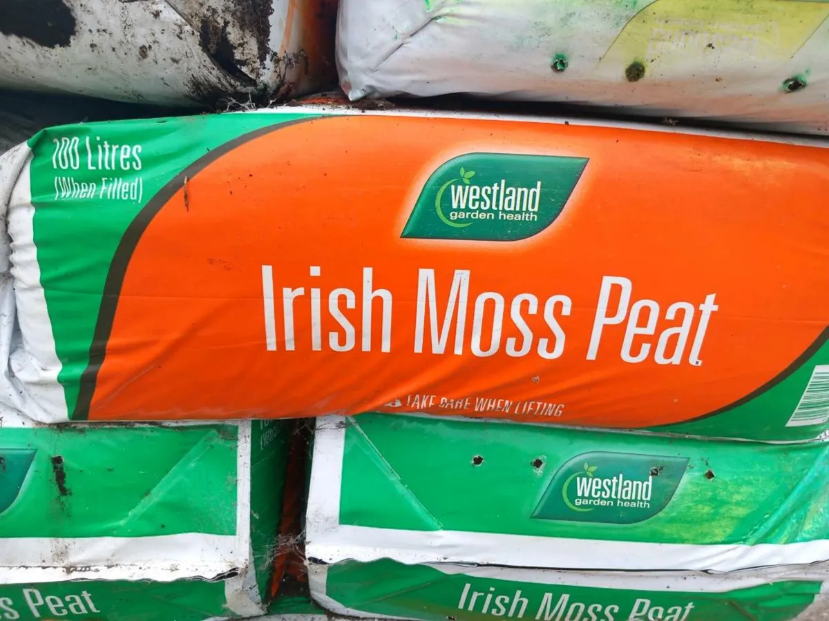 Irish moss peat - Image 2