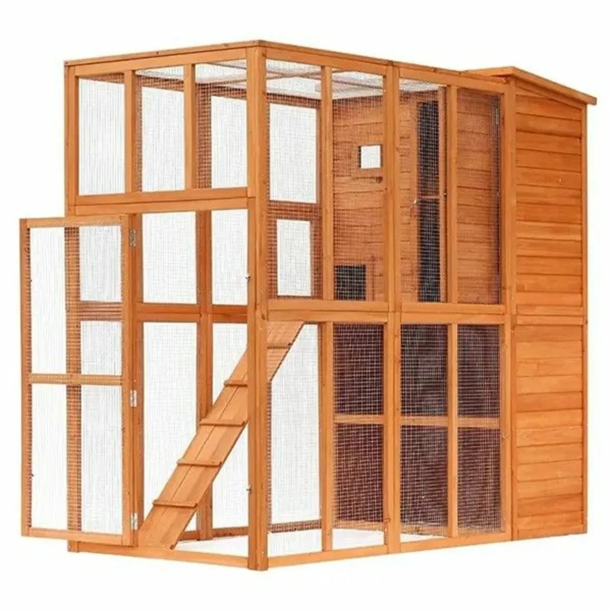 The Cat Camp - Free Delivery - Image 3