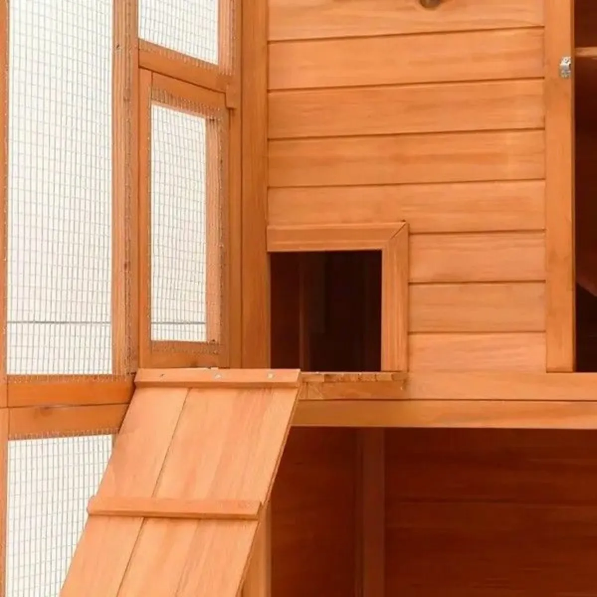 The Cat Camp - Free Delivery - Image 4