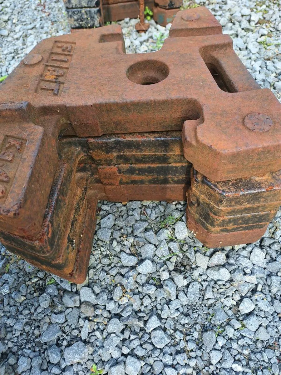 Fiat Weights - Image 2