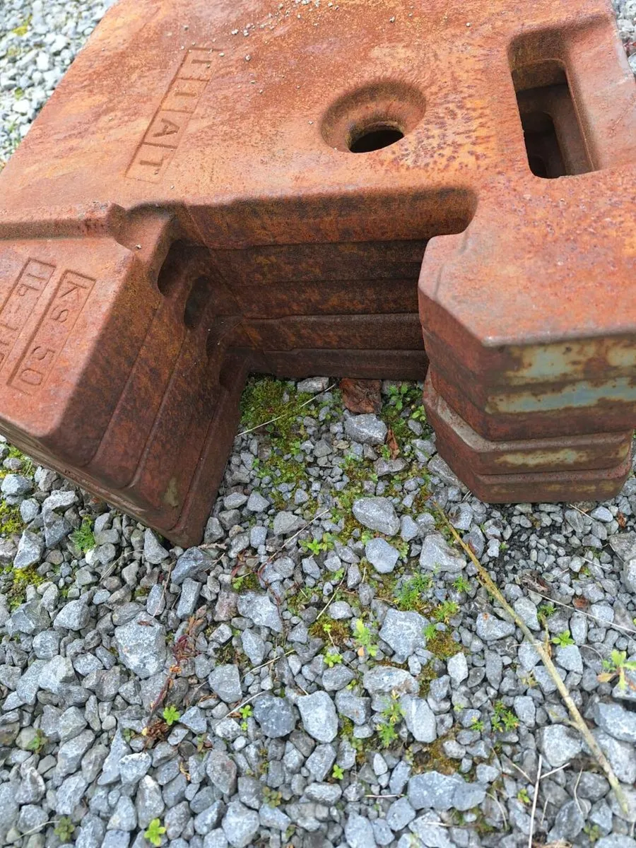 Fiat Weights - Image 1