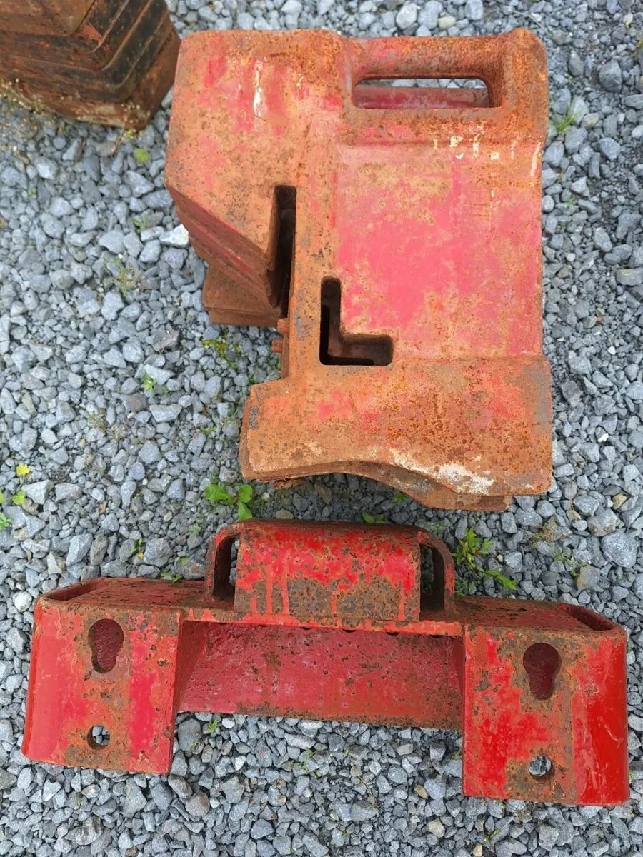 International  XL Weights - Image 2