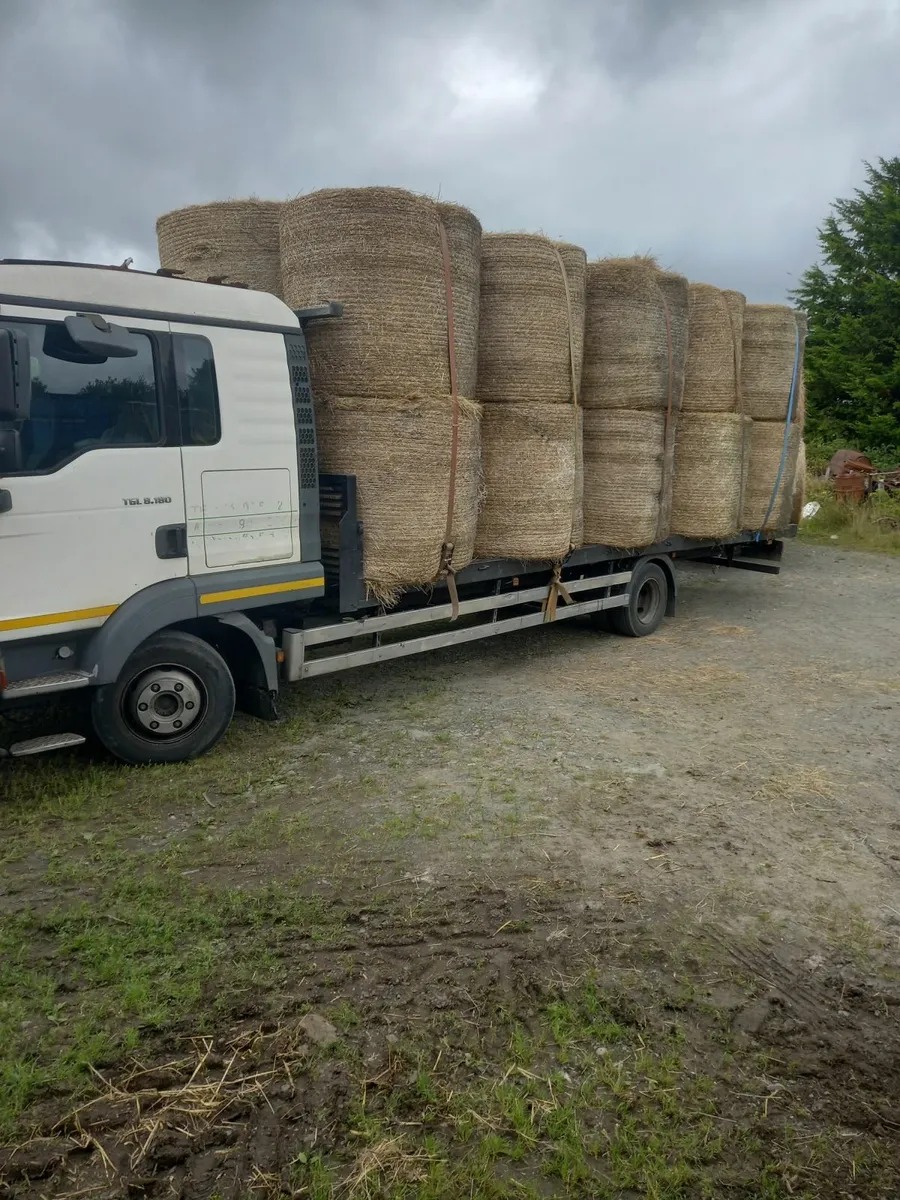 Hay/Straw for sale - Image 1