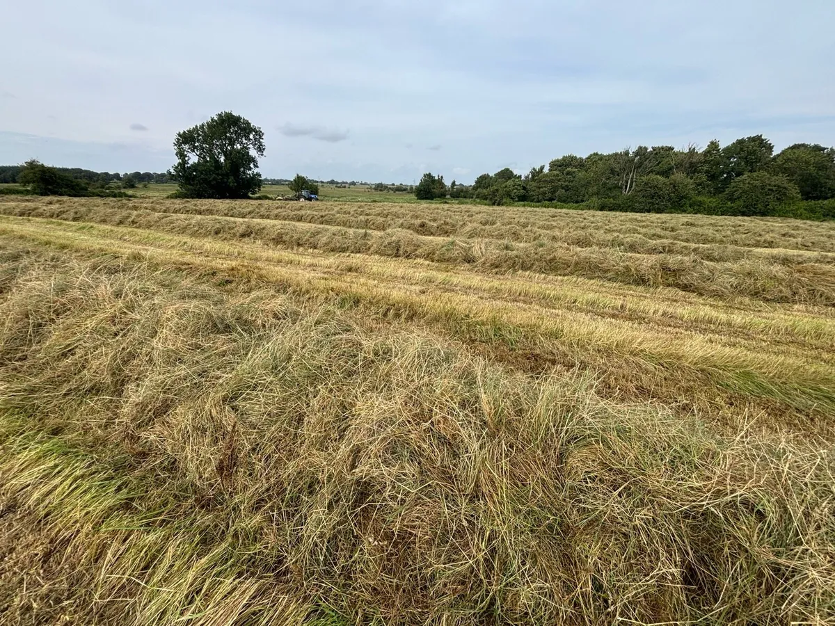 Top Quality Haylage - Image 4