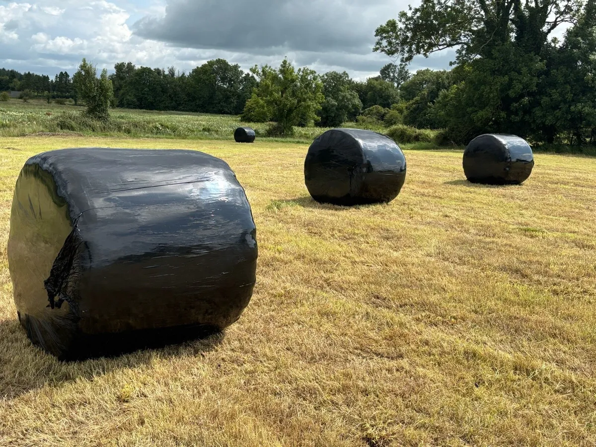 Top Quality Haylage - Image 1