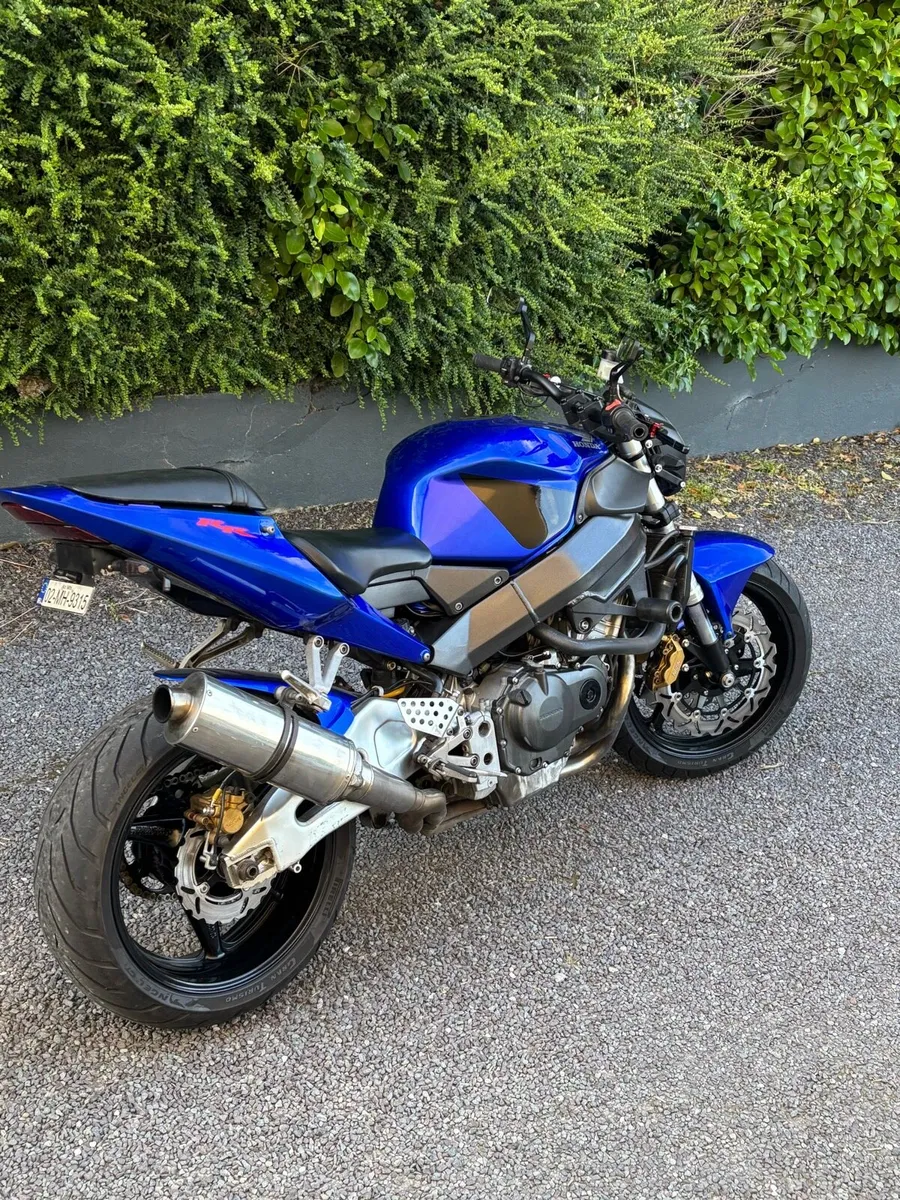 CBR 954 RR - Image 2