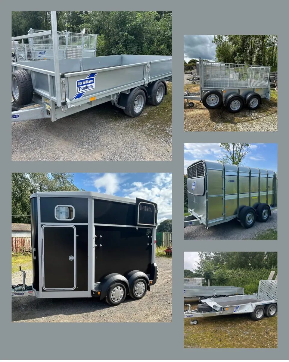 New and Used Ifor Williams Trailers - Image 1