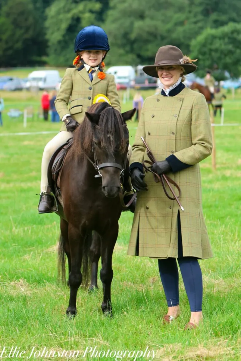 Dartmoor Gelding - Image 3