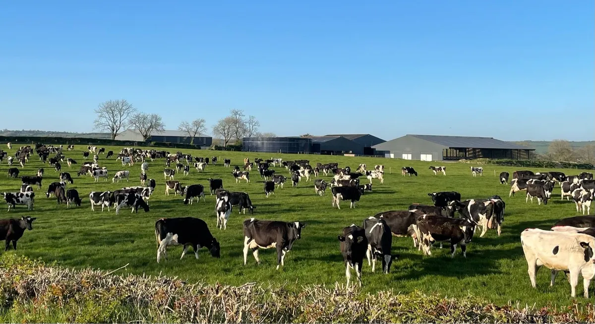 Dairy farm assistant Relief Milker required.