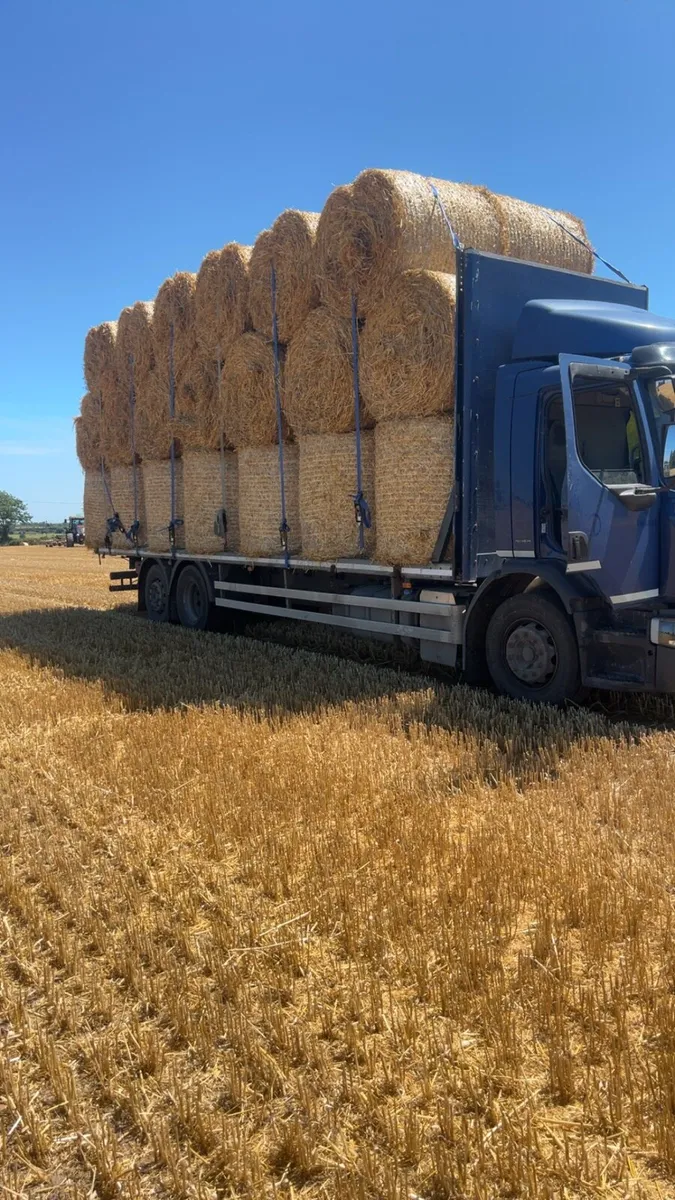 Straw and hay - Image 1