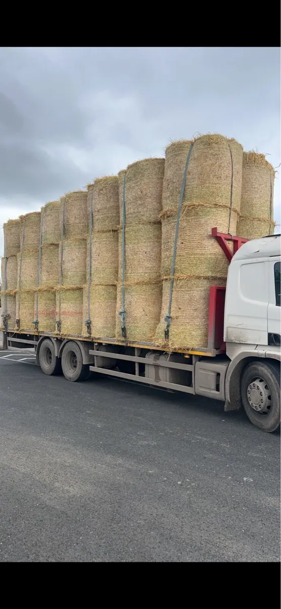 Round and 8x4x3 Straw and hay - Image 1