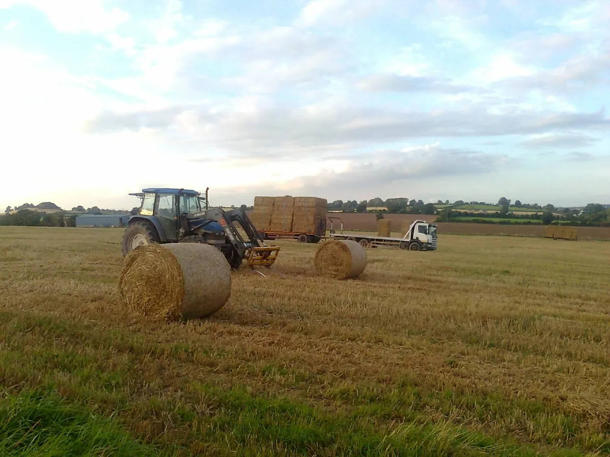 Chopped Wheatean  Round Barley Straw  and     Hay - Image 4