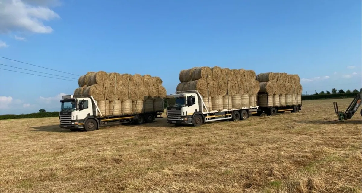 Chopped Wheatean  Round Barley Straw  and     Hay - Image 2