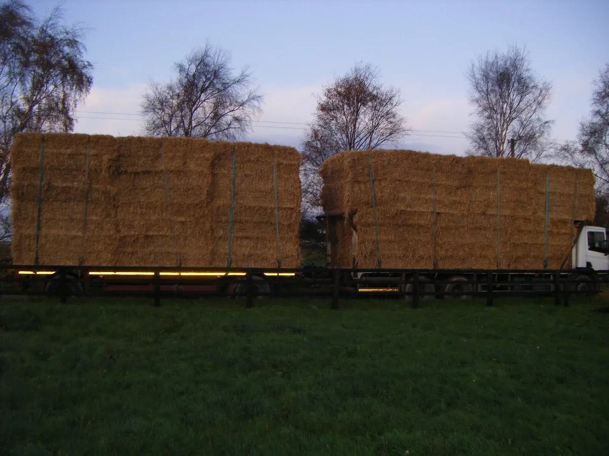 Chopped Wheatean  Round Barley Straw  and     Hay - Image 1