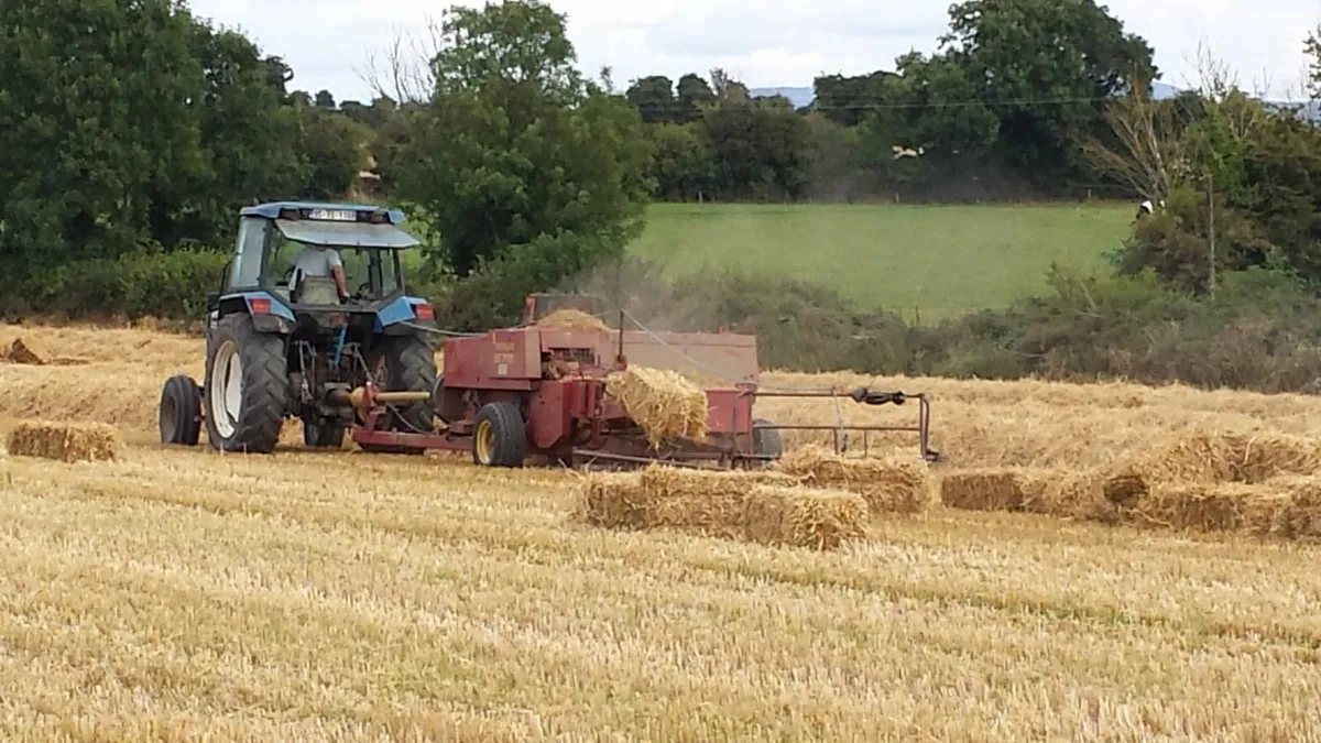 Round Bales  Hay  Round AND 8-4-3  Straw - Image 1