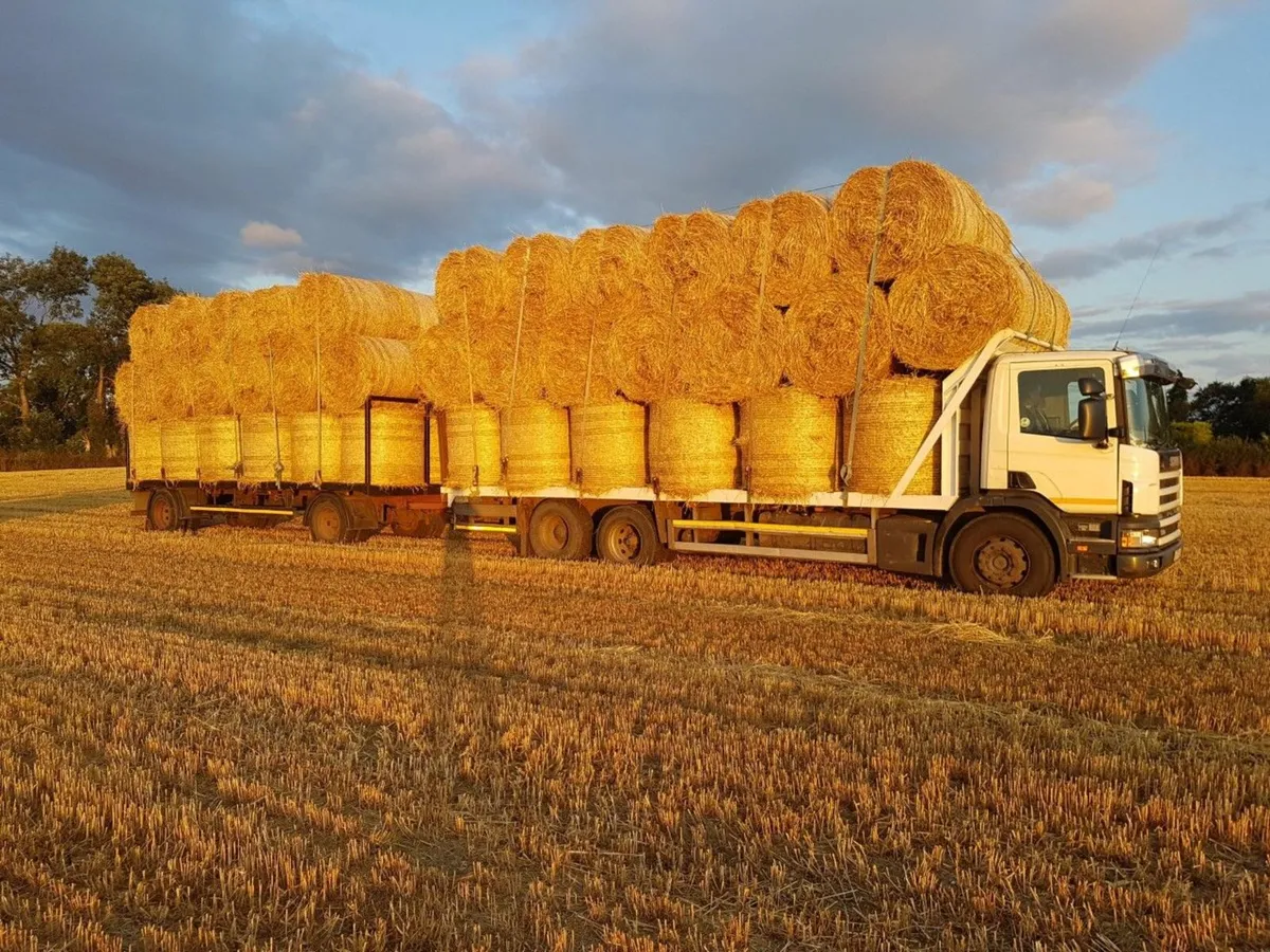 Chopped Wheatean  Round Barley Straw  and     Hay - Image 3