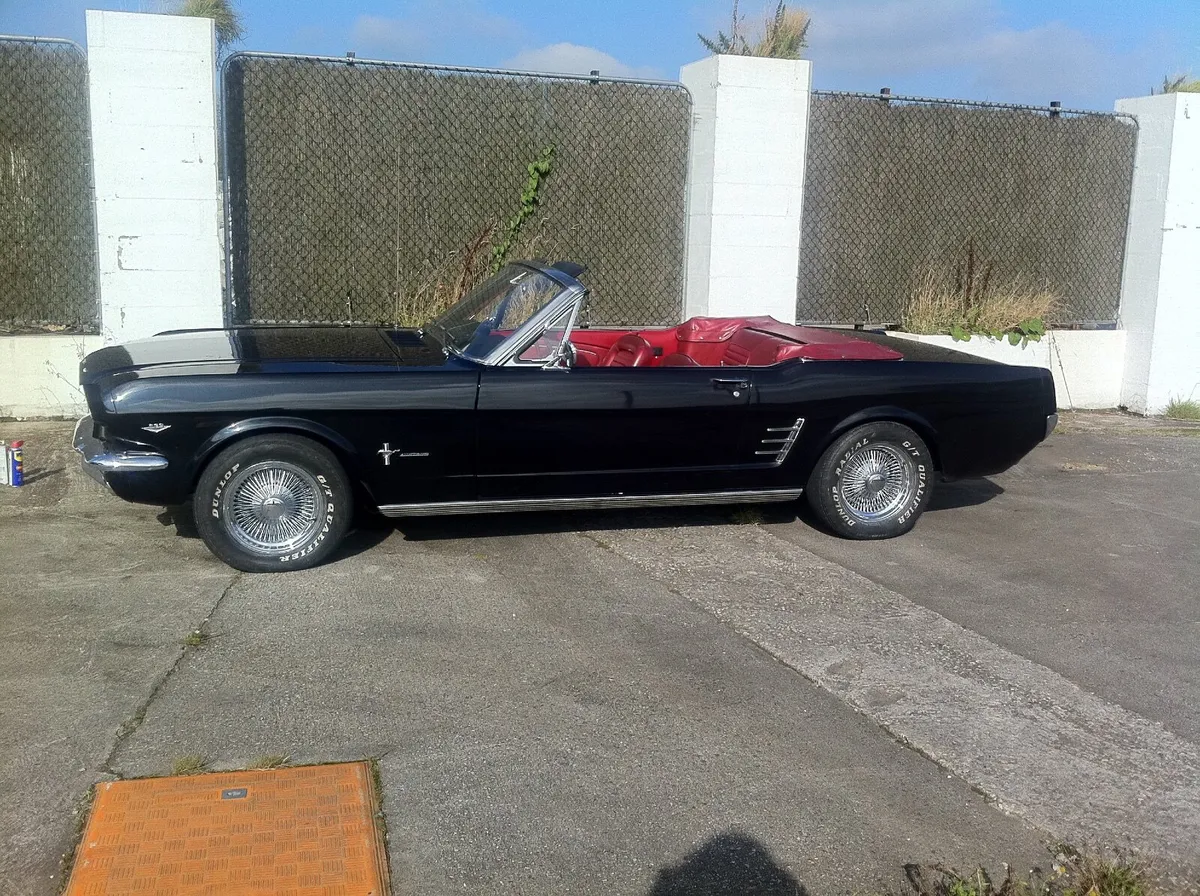 Ford Other 1965 - Image 3