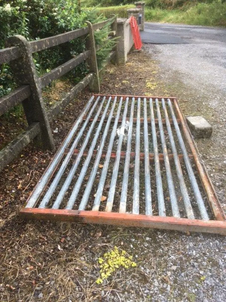 Cattle grid - Image 2