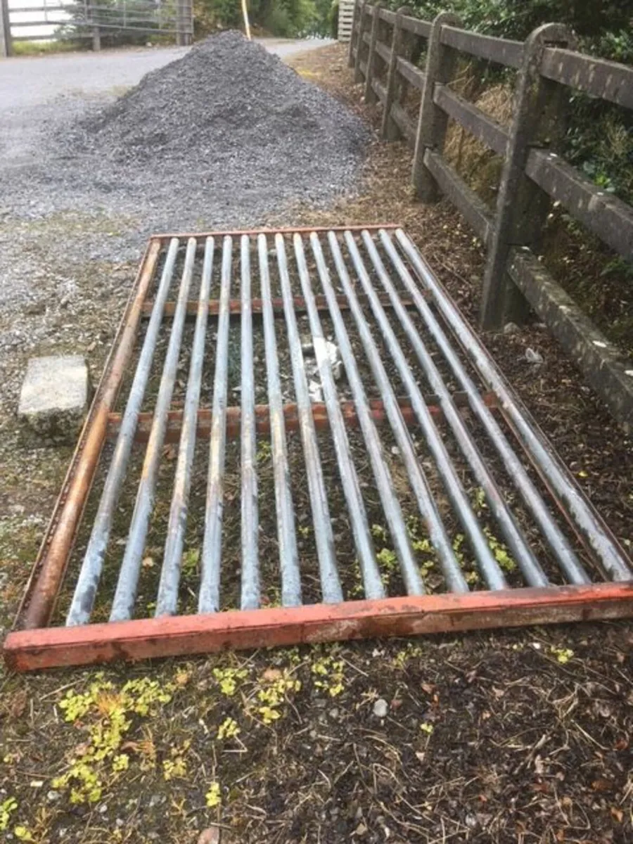 Cattle grid - Image 1