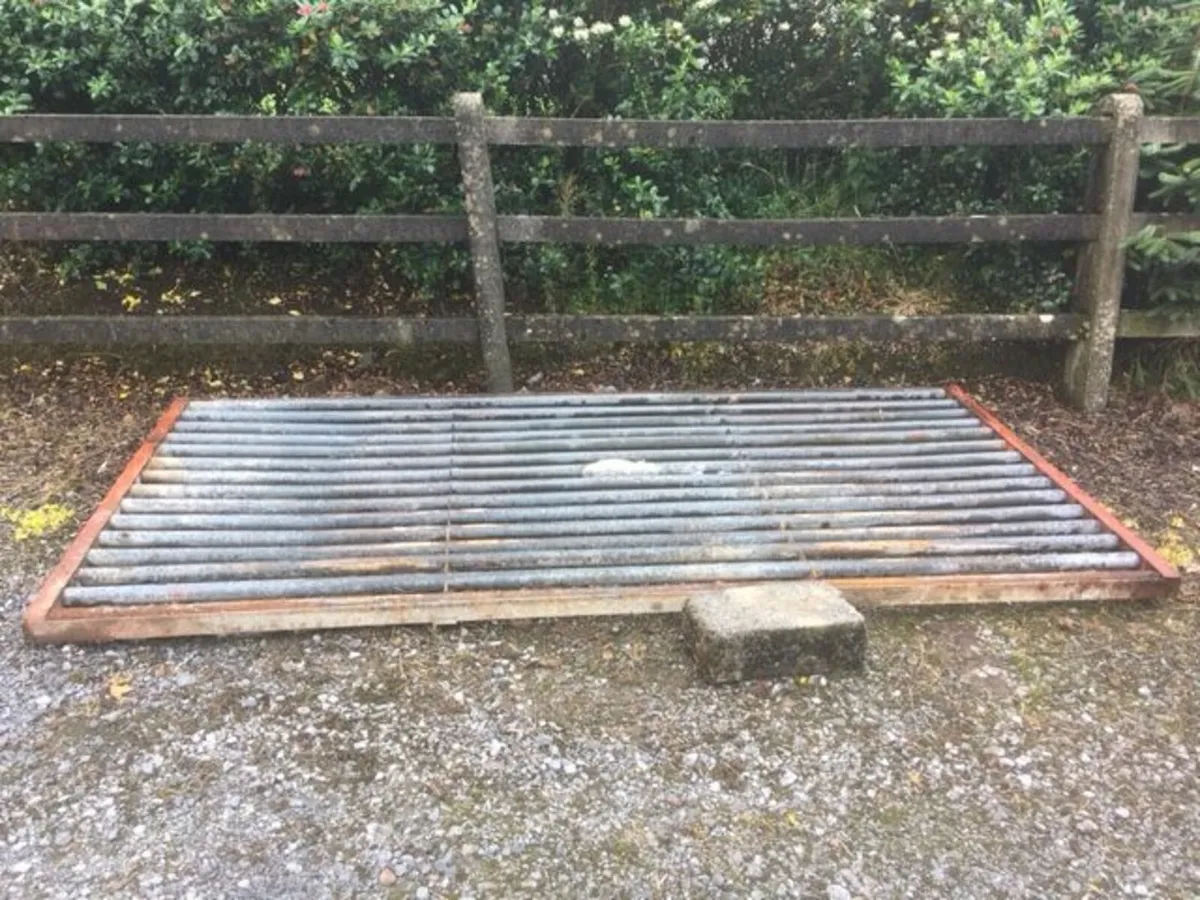 Cattle grid - Image 3
