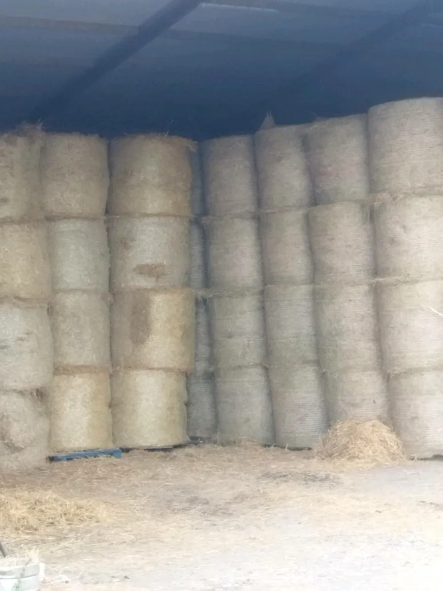 Hay and straw - Image 1