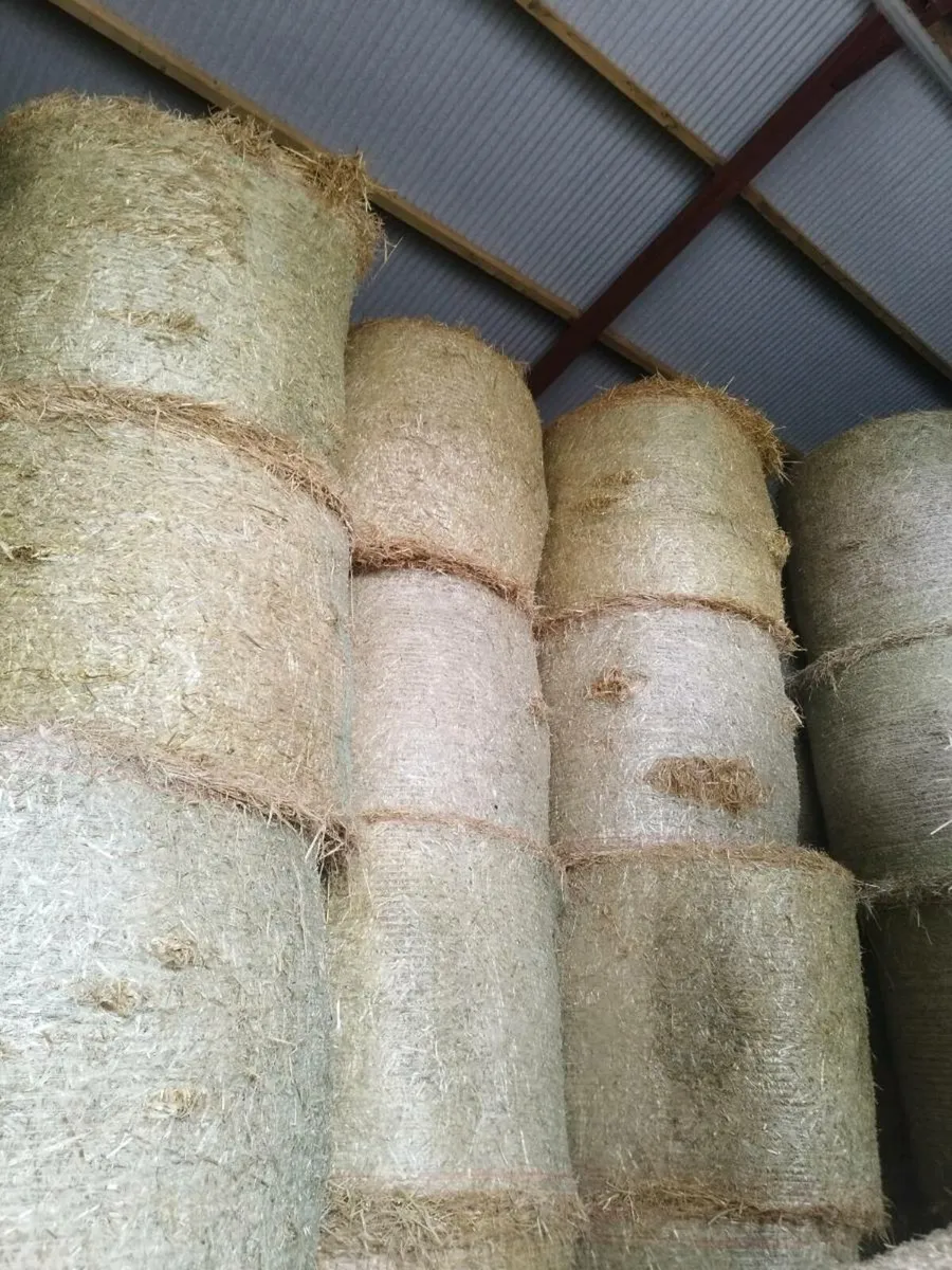 Hay and straw - Image 2
