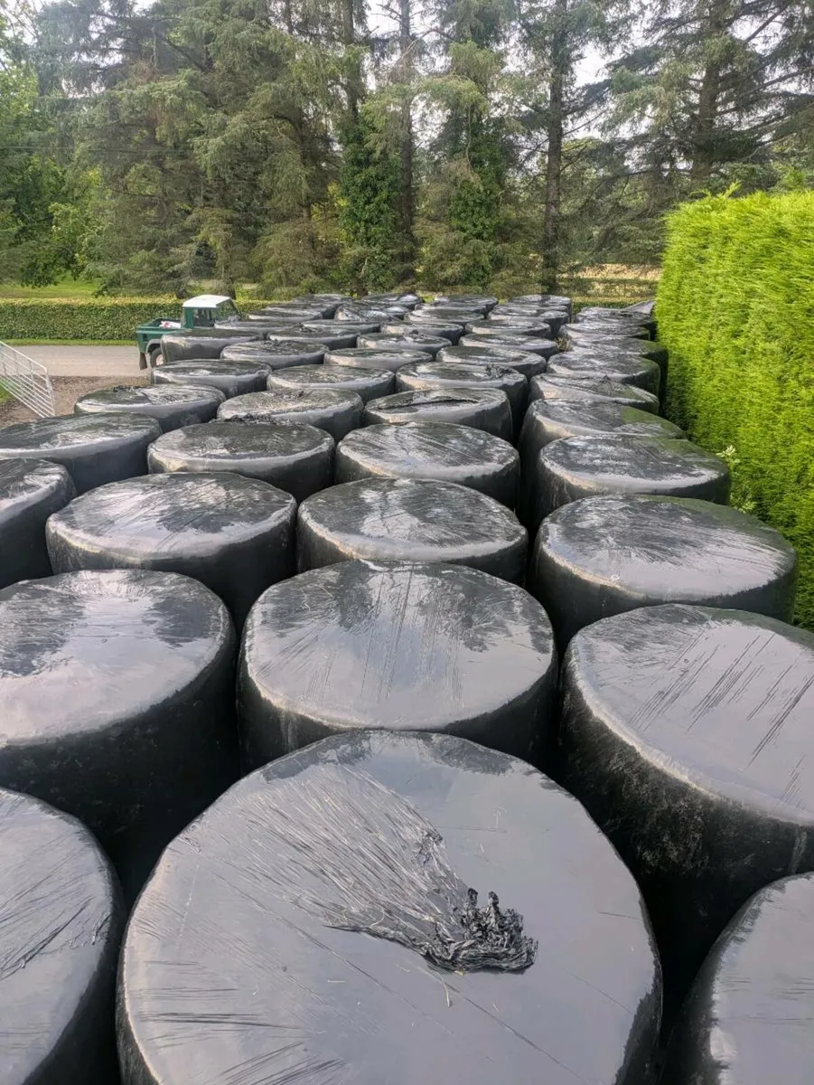 Silage bales - Image 2