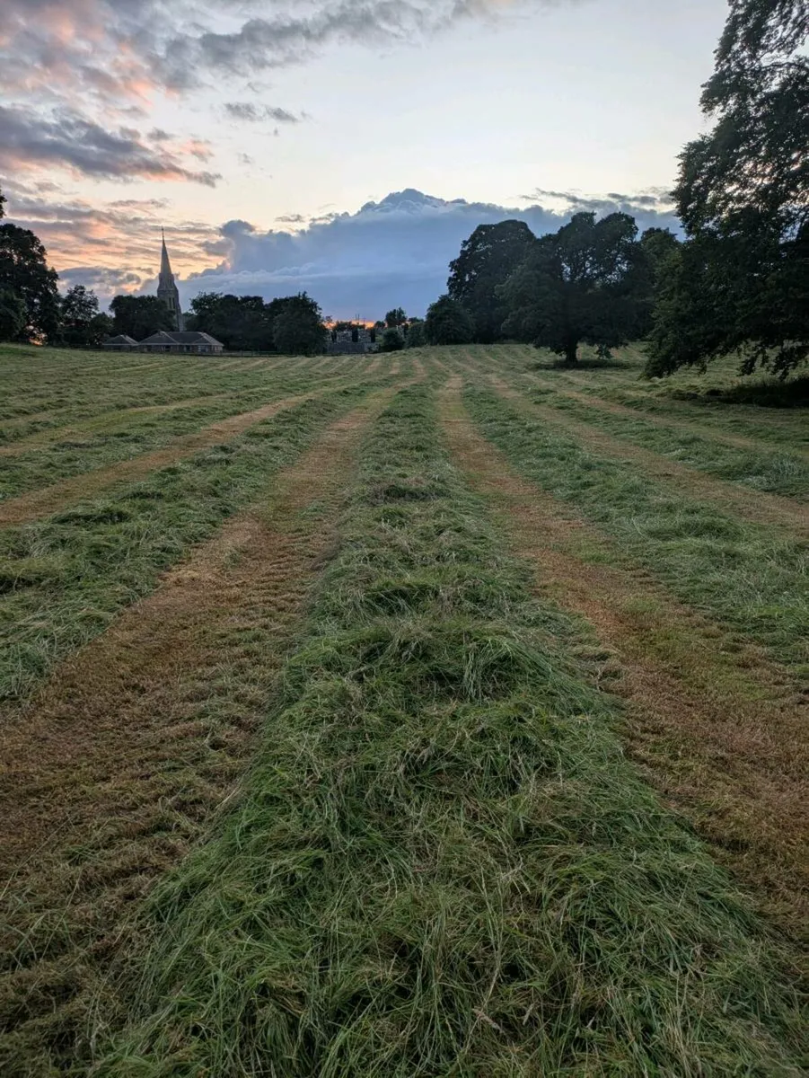 Silage bales - Image 3