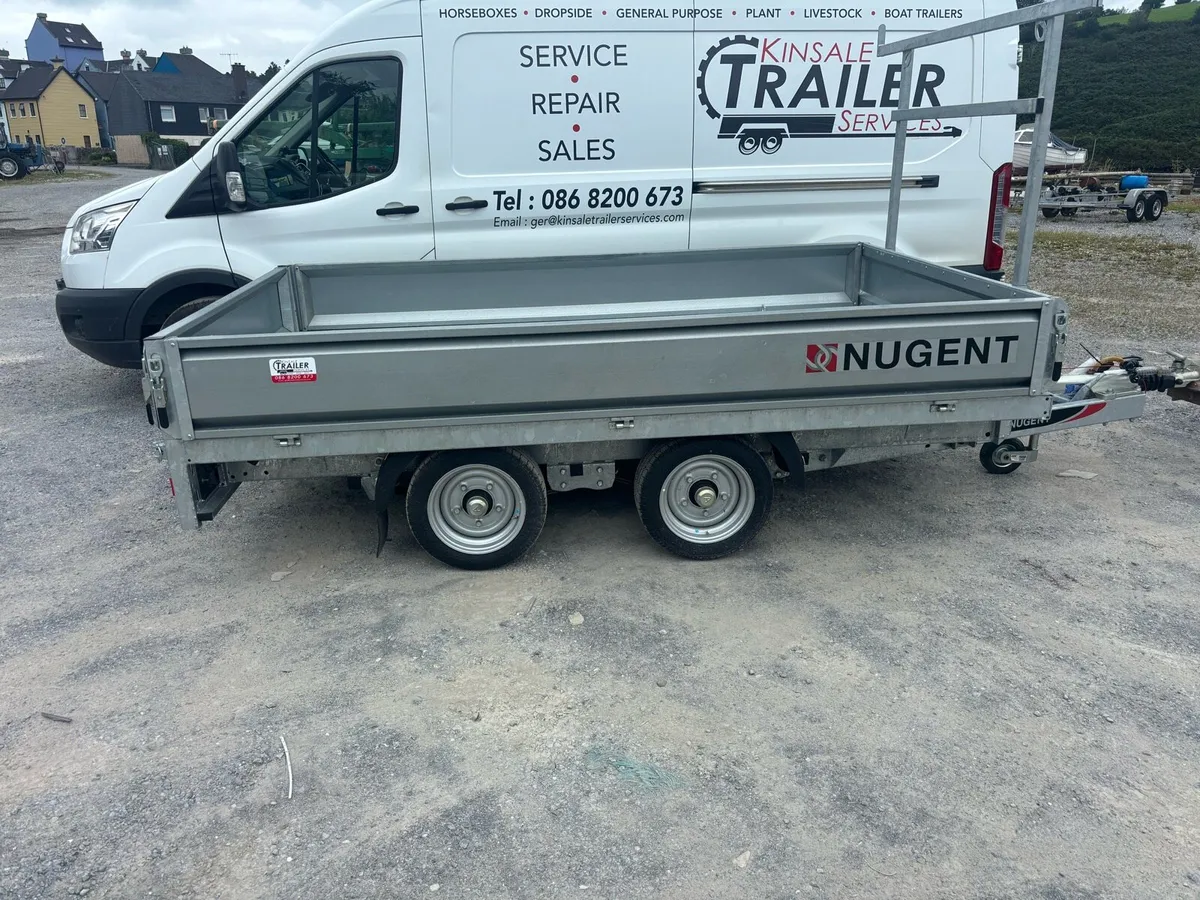 Nugent 10 x 6 - Image 2