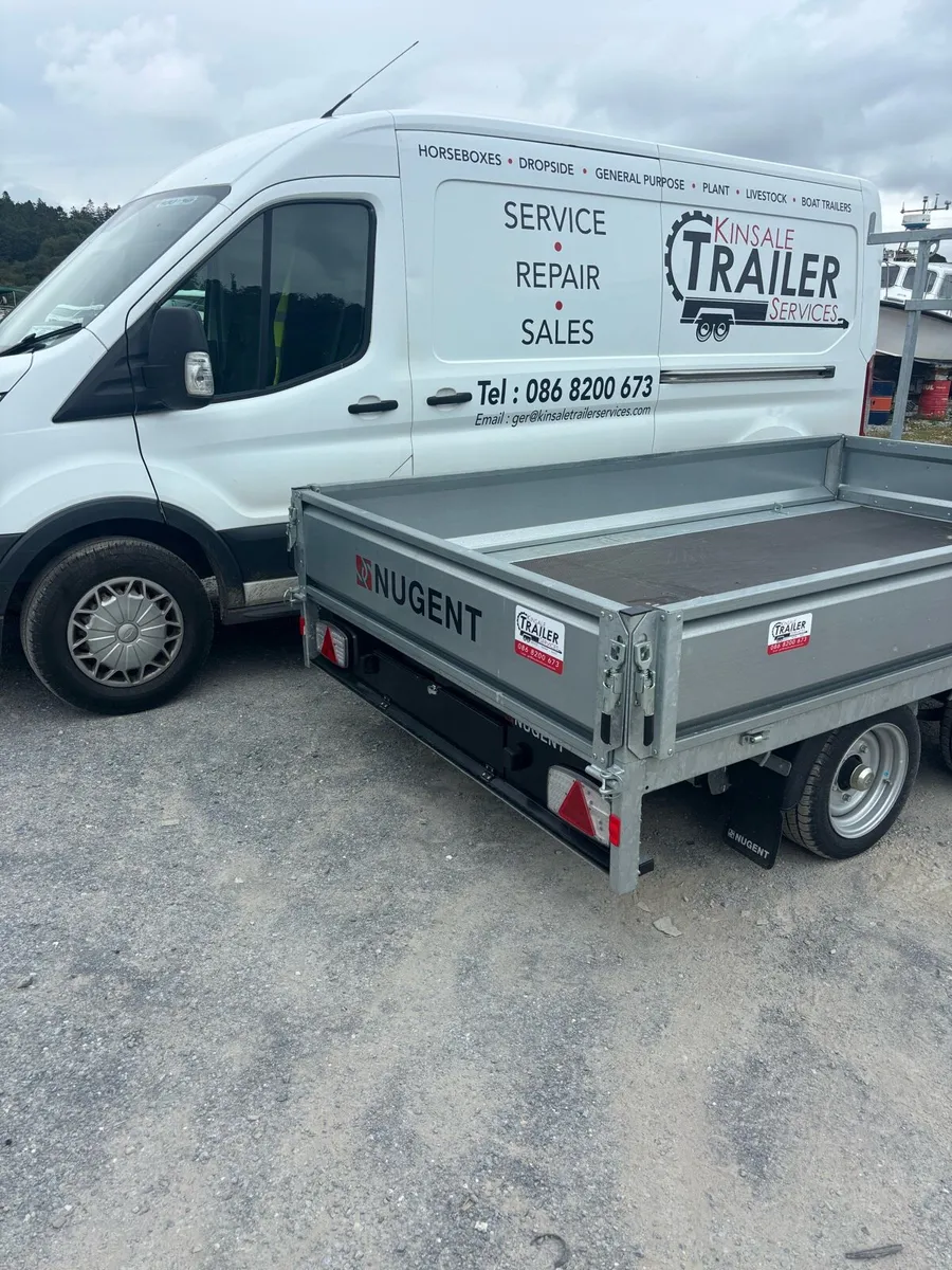 Nugent 10 x 6 - Image 3